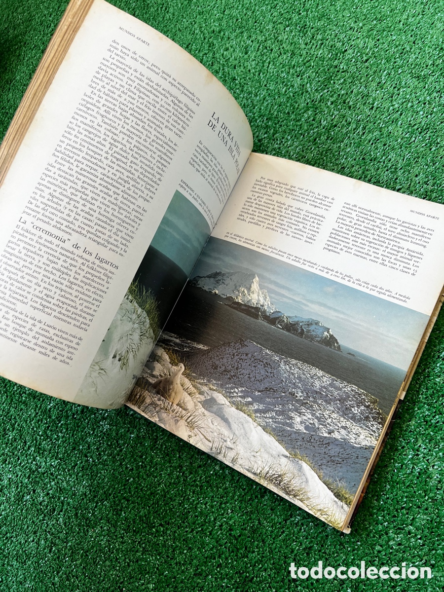 Enciclopedias de segunda mano: Libro secretos del mar - Foto 10