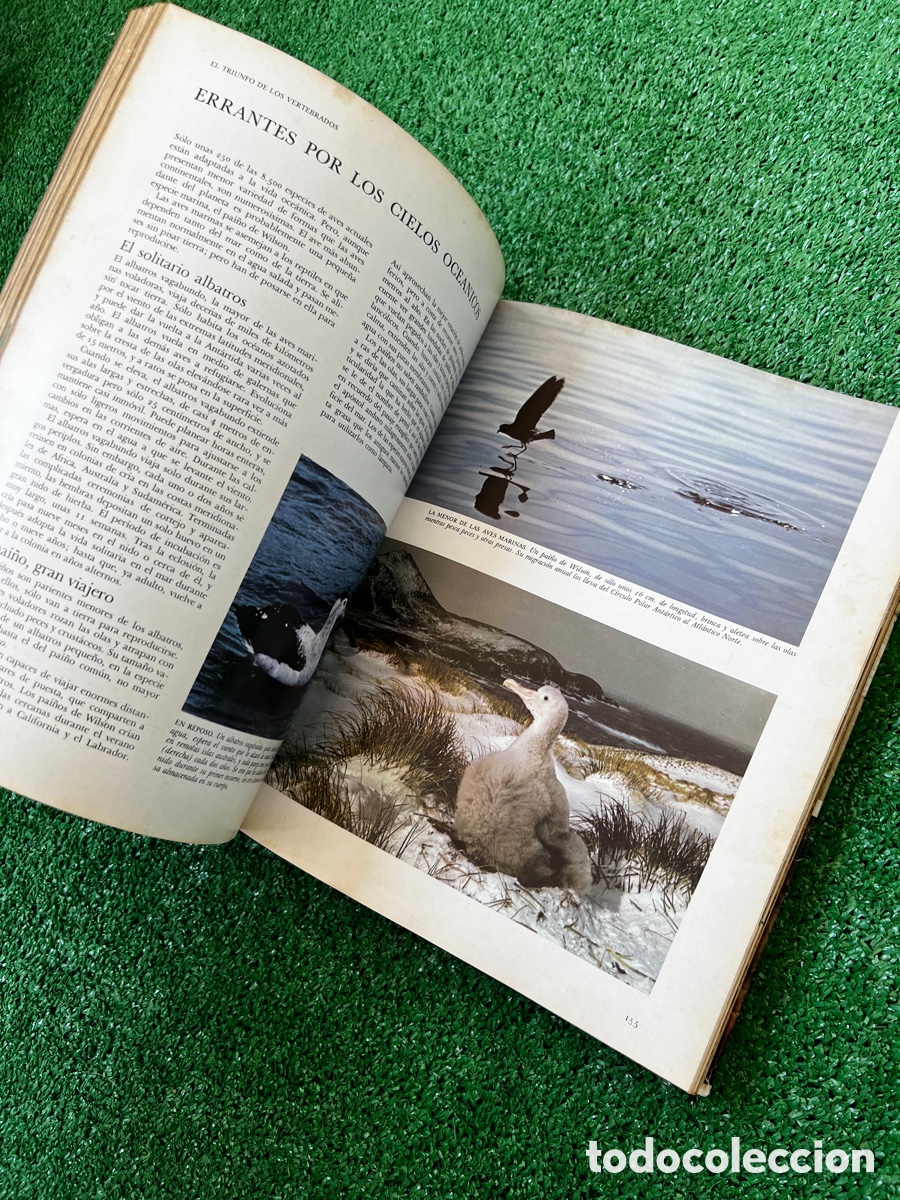 Enciclopedias de segunda mano: Libro secretos del mar - Foto 14