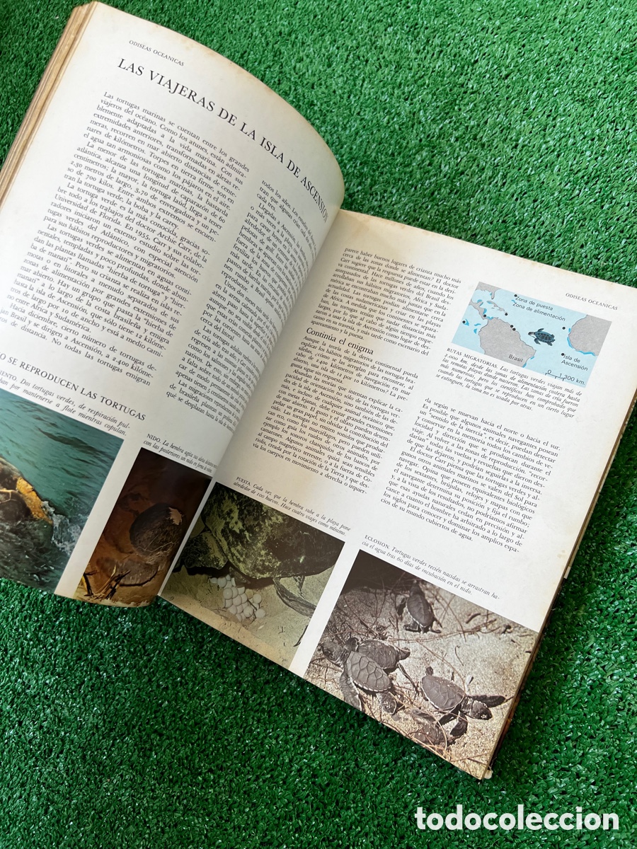 Enciclopedias de segunda mano: Libro secretos del mar - Foto 15
