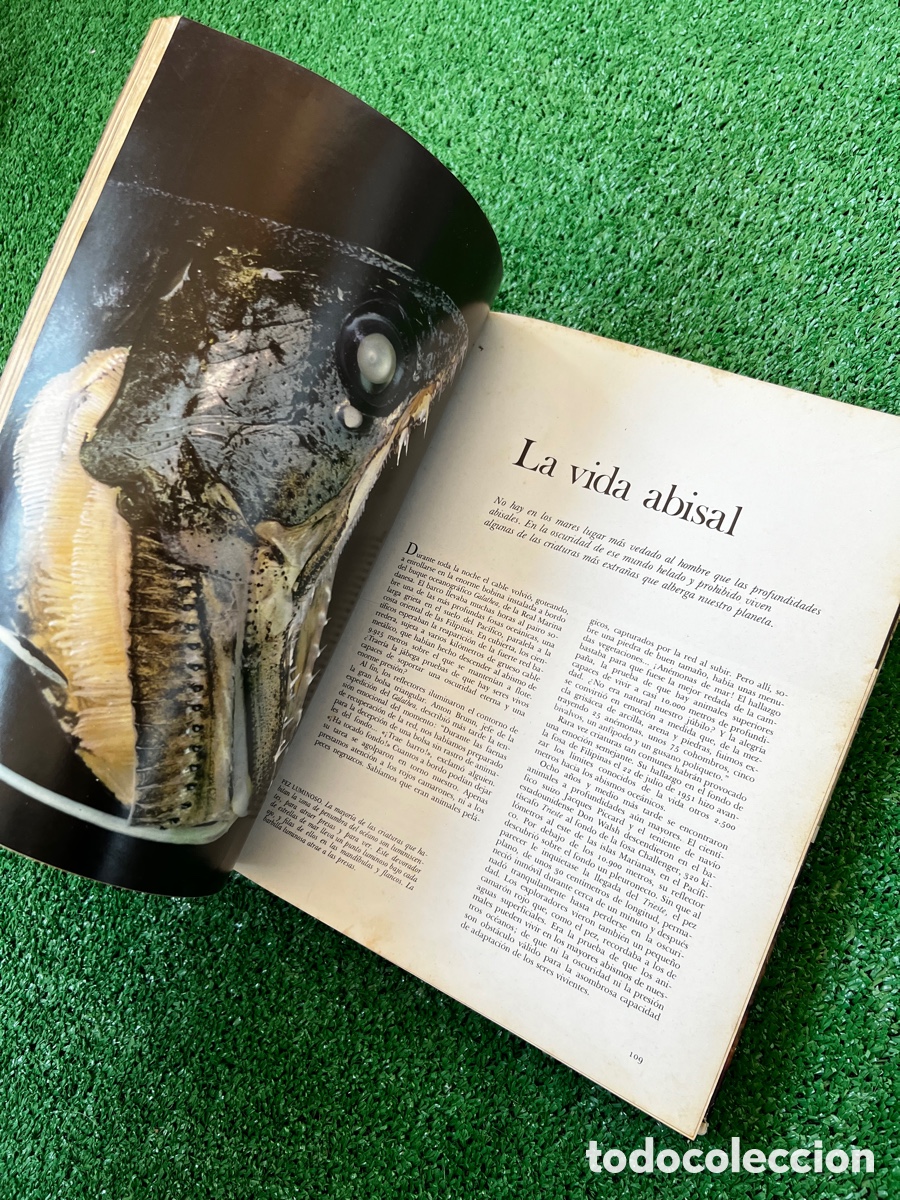 Enciclopedias de segunda mano: Libro secretos del mar - Foto 16