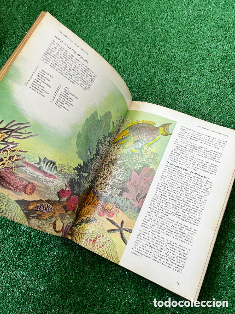 Enciclopedias de segunda mano: Libro secretos del mar - Foto 17