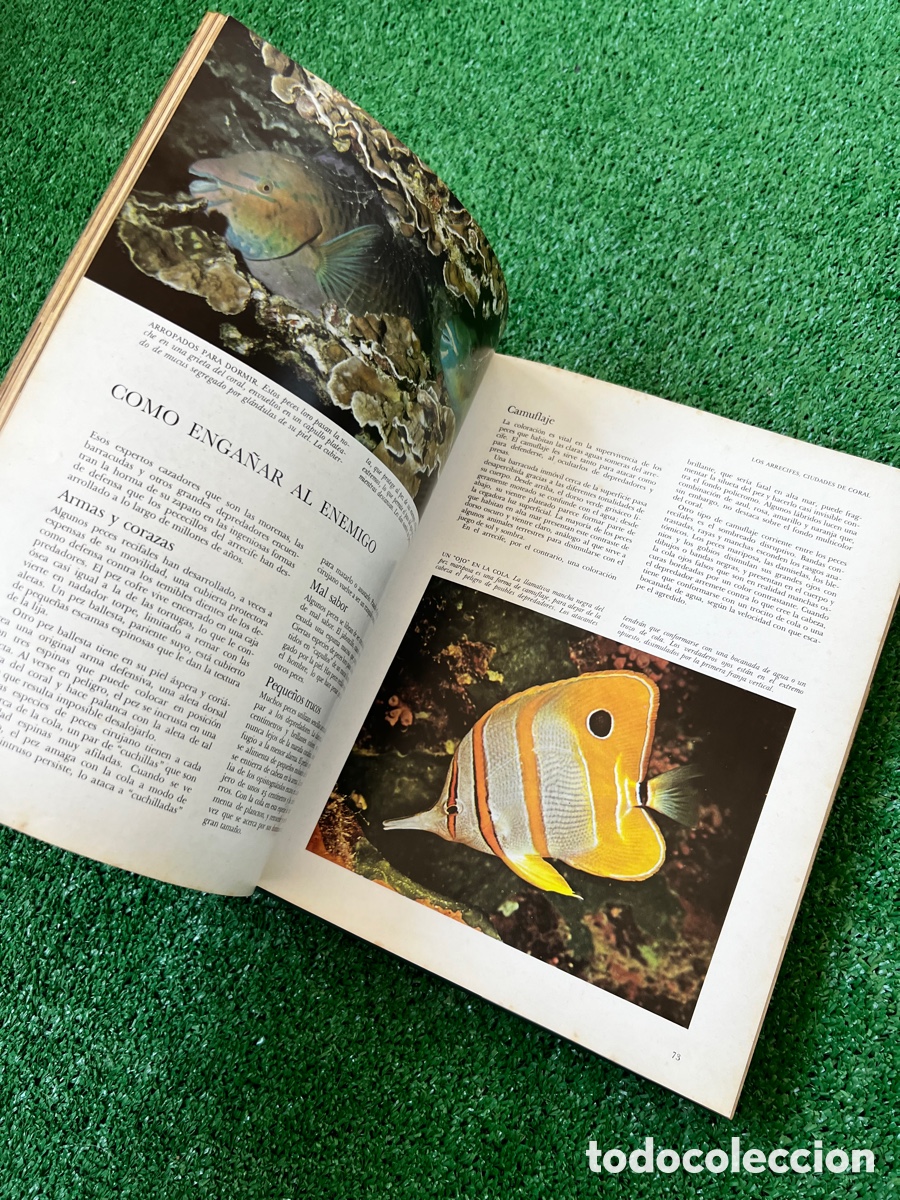 Enciclopedias de segunda mano: Libro secretos del mar - Foto 18