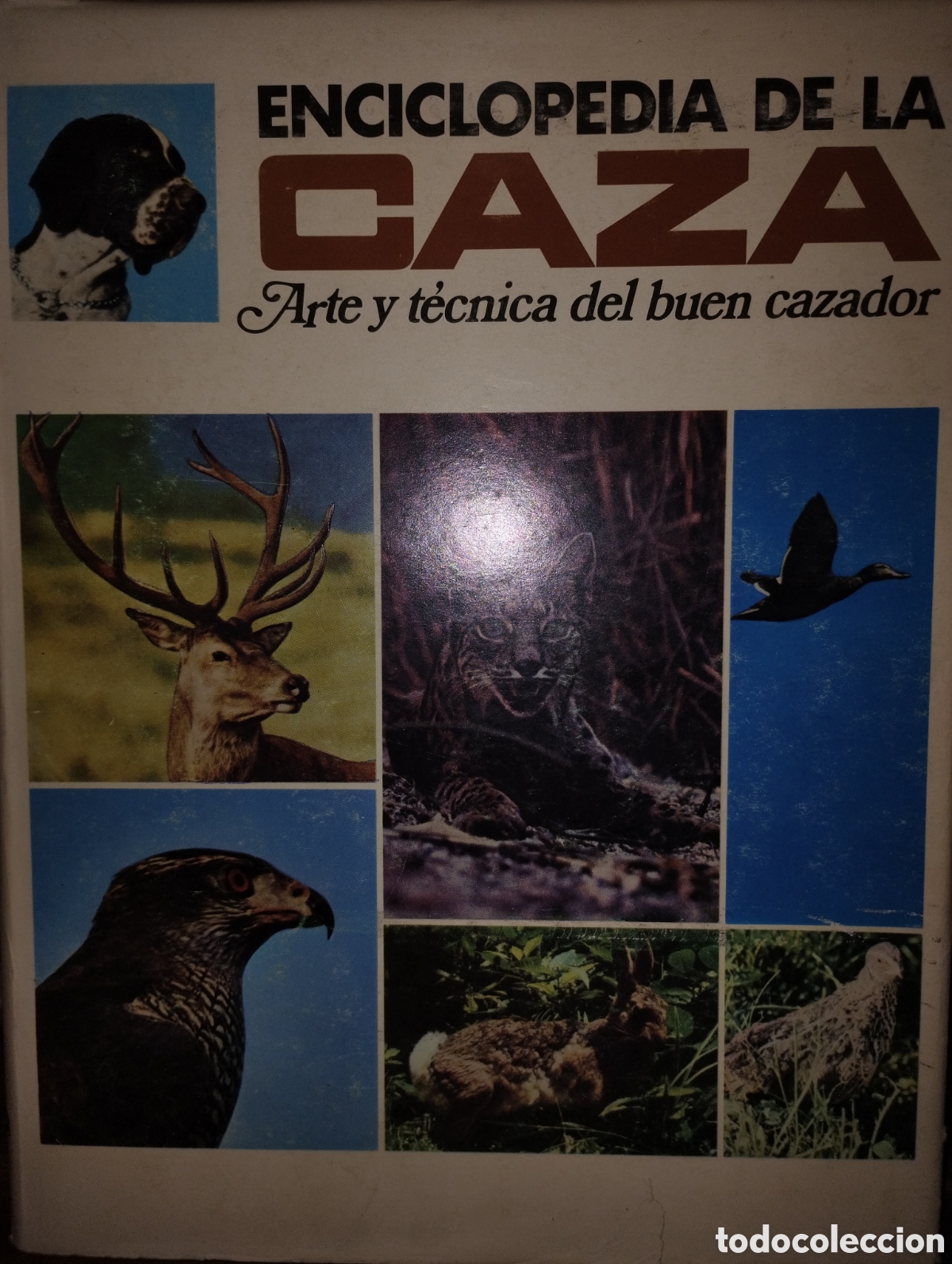 Enciclopedias de segunda mano: Enciclopedia de la caza - Foto 2