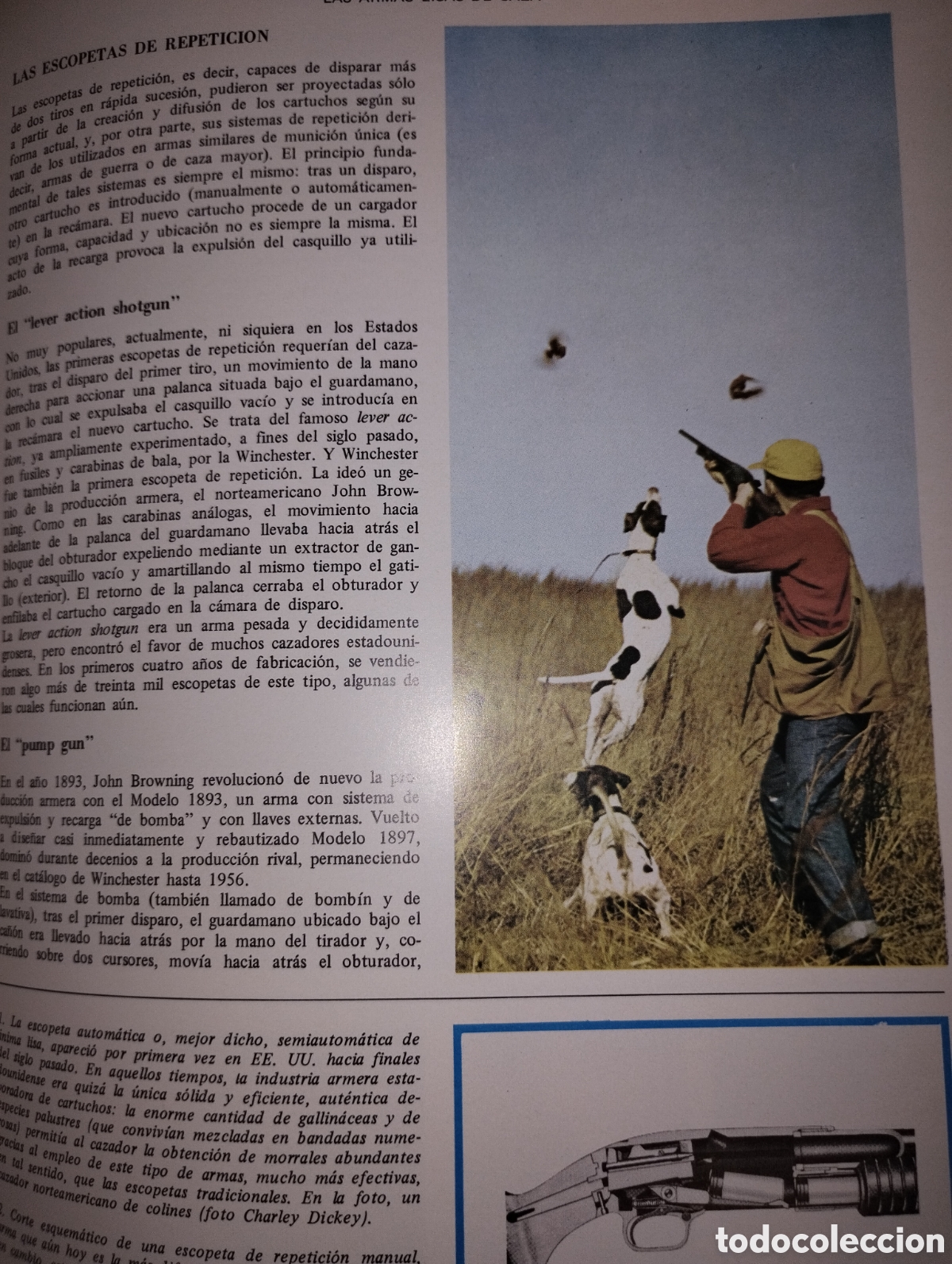 Enciclopedias de segunda mano: Enciclopedia de la caza - Foto 3