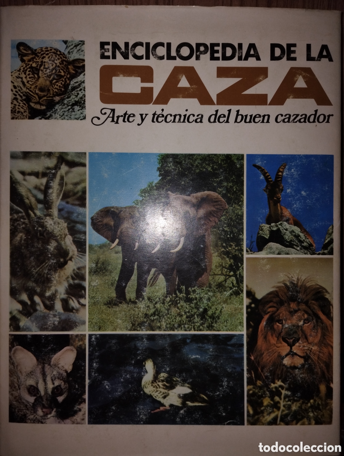 Enciclopedias de segunda mano: Enciclopedia de la caza - Foto 1