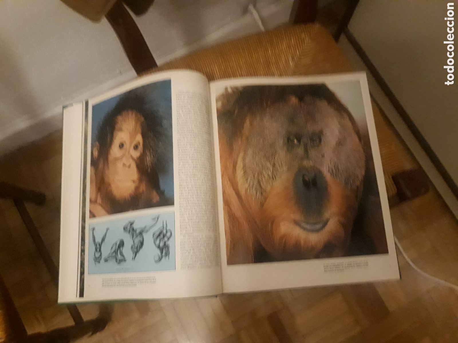 Enciclopedias de segunda mano: Libros encuadernados - Foto 3