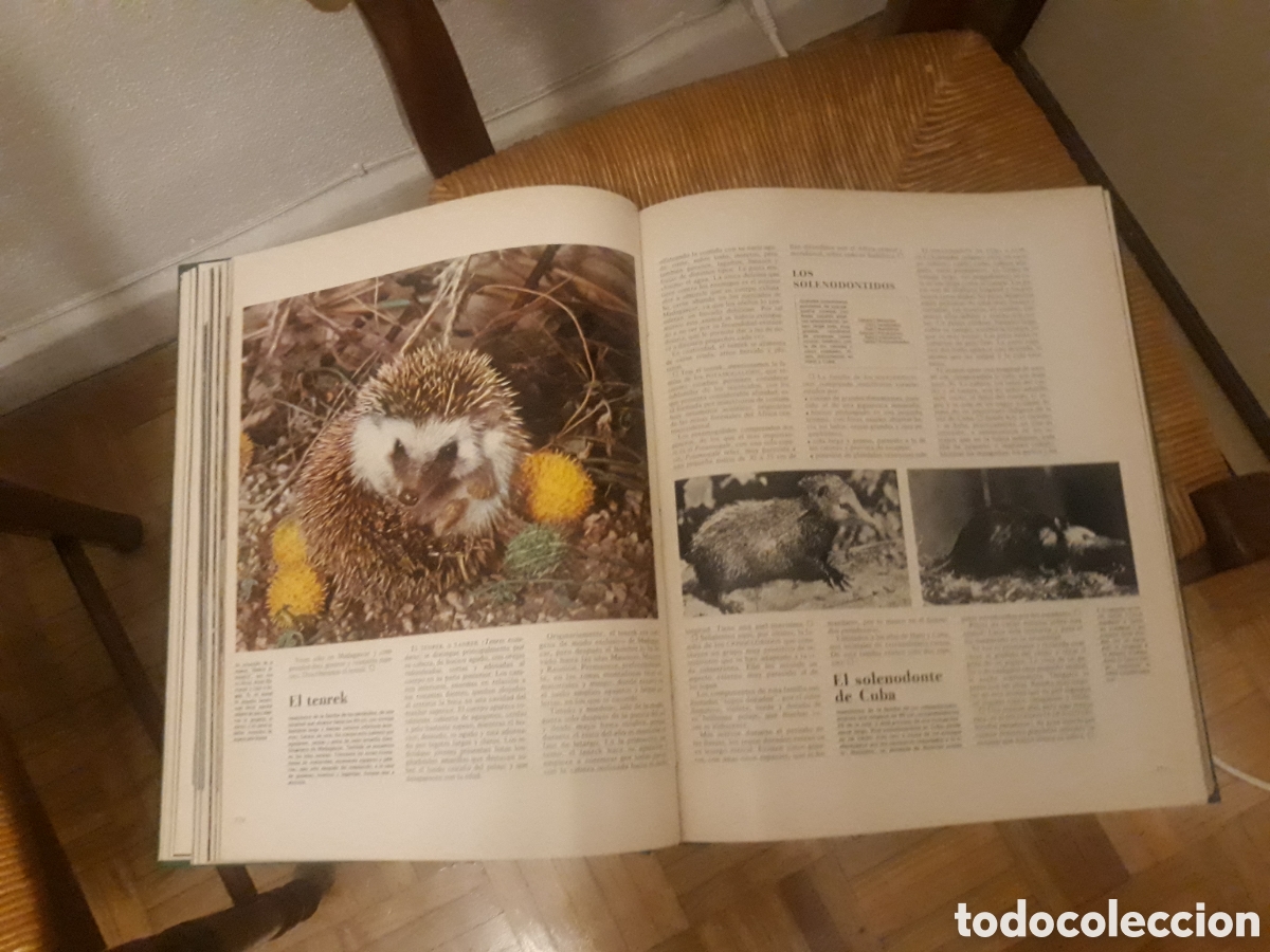 Enciclopedias de segunda mano: Libros encuadernados - Foto 4