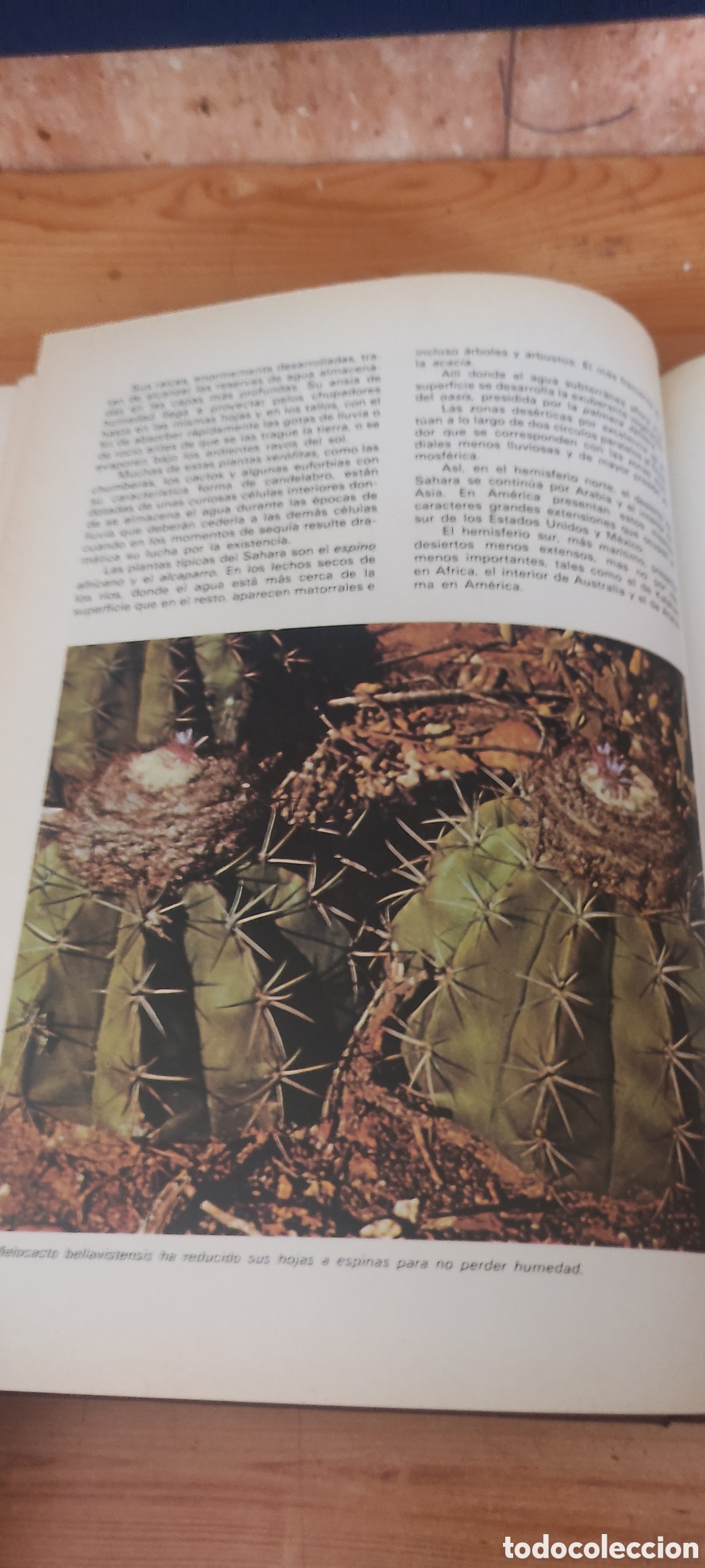 Enciclopedias de segunda mano: ANIMALES Y PLANTAS - Foto 2