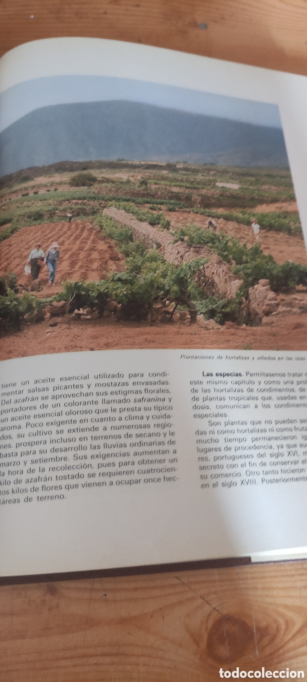 Enciclopedias de segunda mano: ANIMALES Y PLANTAS - Foto 4