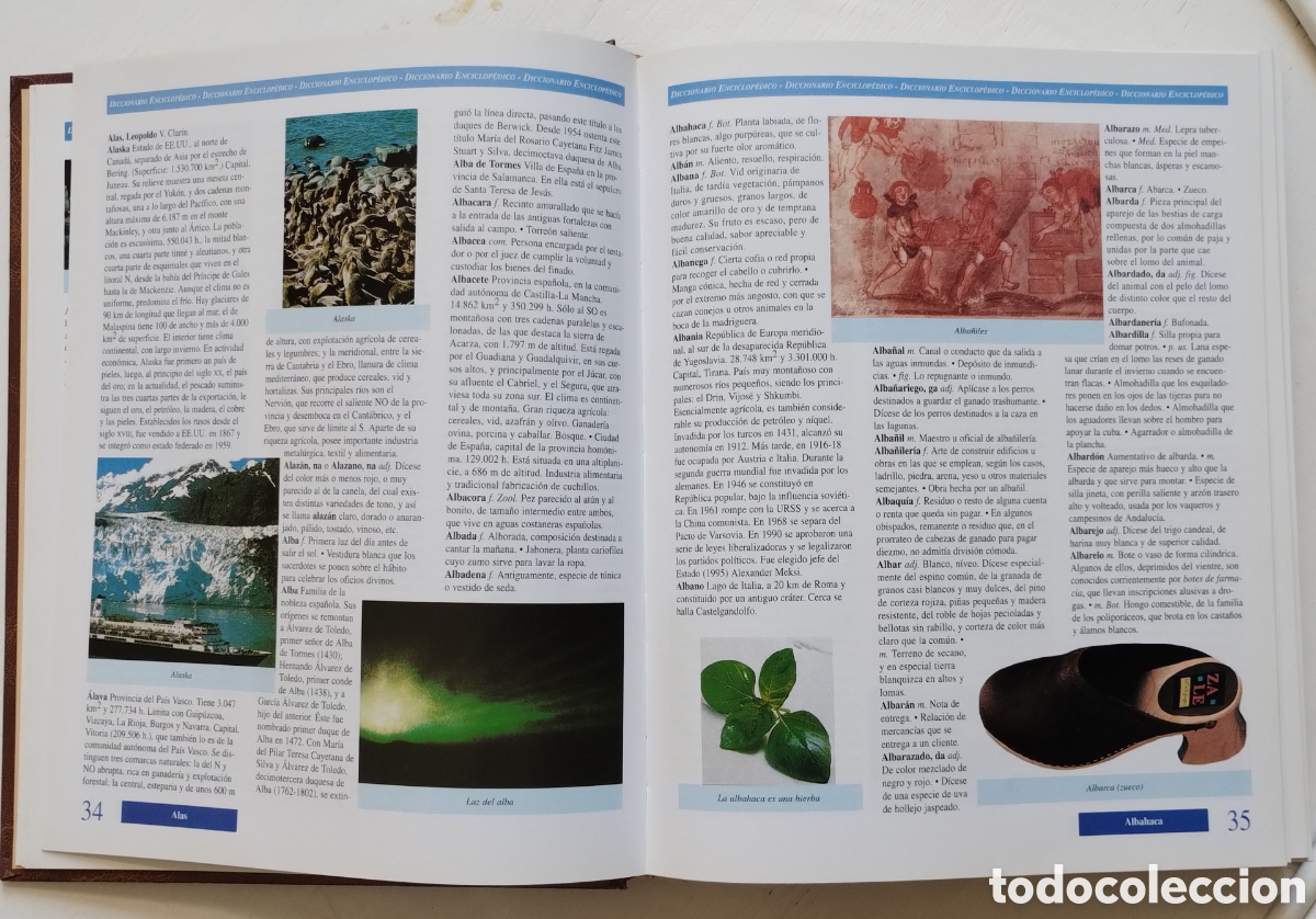 Enciclopedias de segunda mano: Enciclopedia Tem&aacute;tica M&aacute;ster Logse - Foto 6