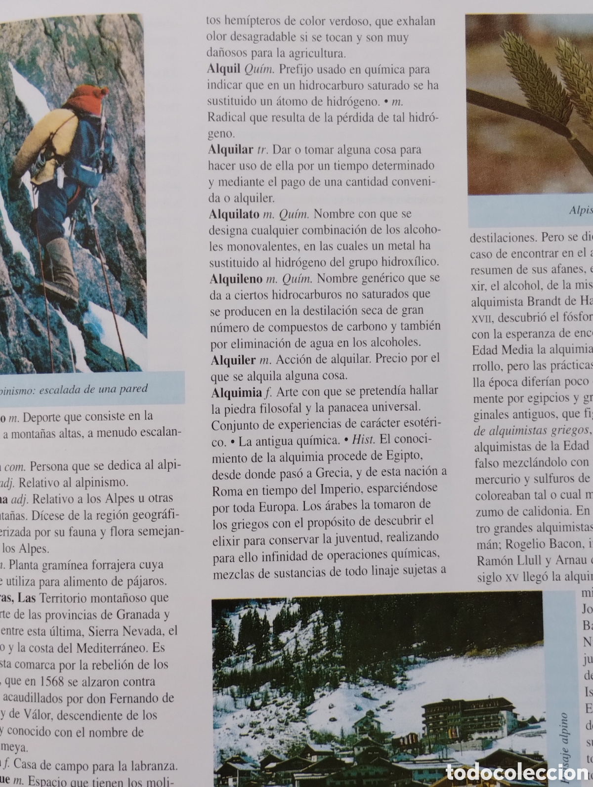Enciclopedias de segunda mano: Enciclopedia Tem&aacute;tica M&aacute;ster Logse - Foto 8