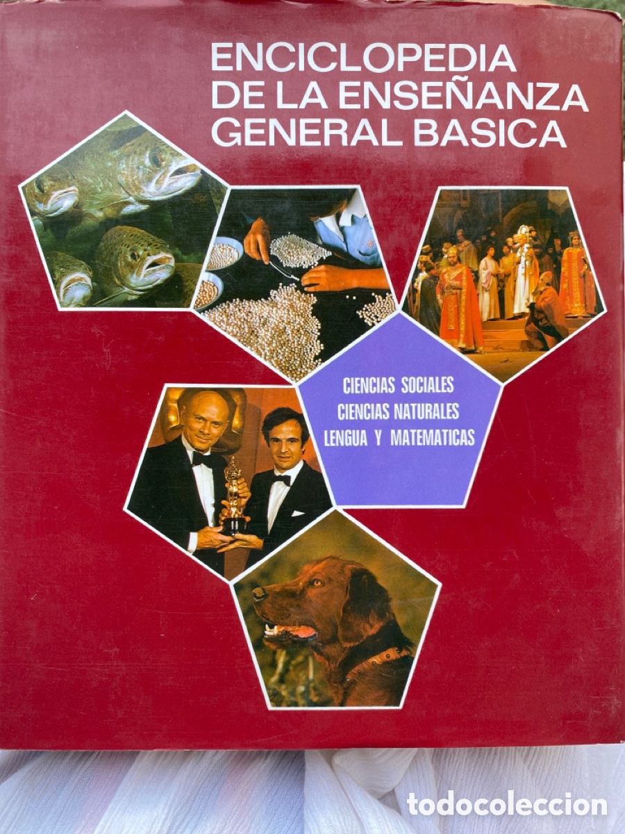 Enciclopedias de segunda mano: 10 libros ENCICLOPEDIA DE LA ENSE&Ntilde;AN GENERAL BASIC - Foto 1