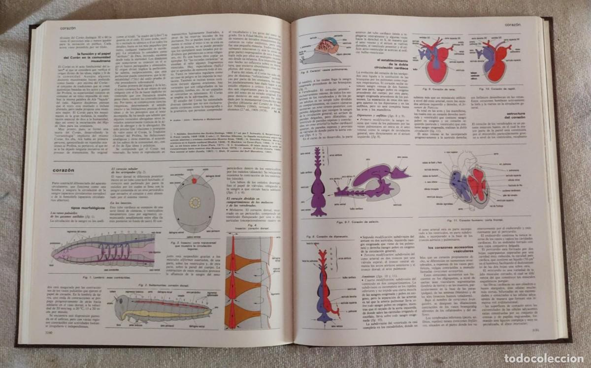 Enciclopedias de segunda mano: GRAN LAROUSSE UNIVERSAL. - Foto 3