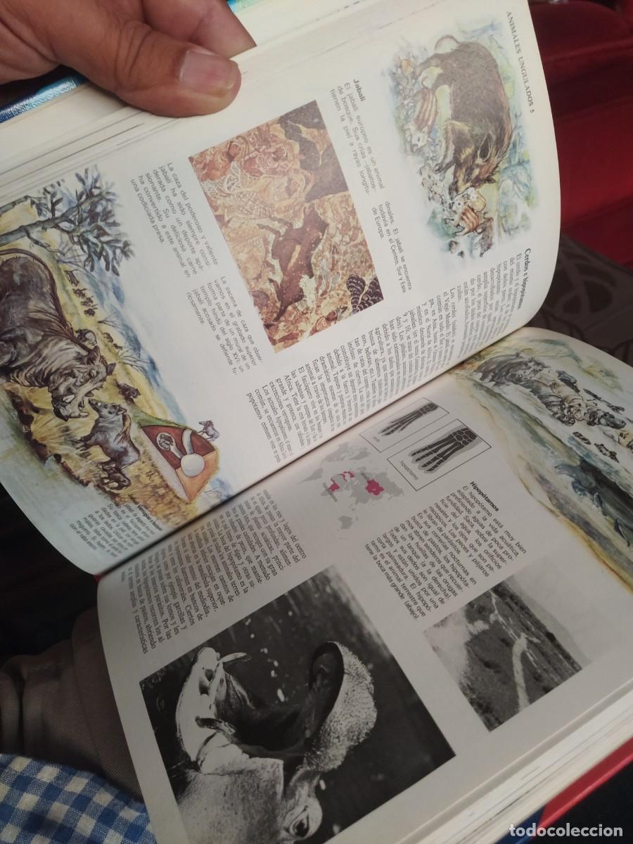 Enciclopedias de segunda mano: Consultor combi VISUAL.. H&eacute;rcules de ediciones..8 tomos ..completo. - Foto 15