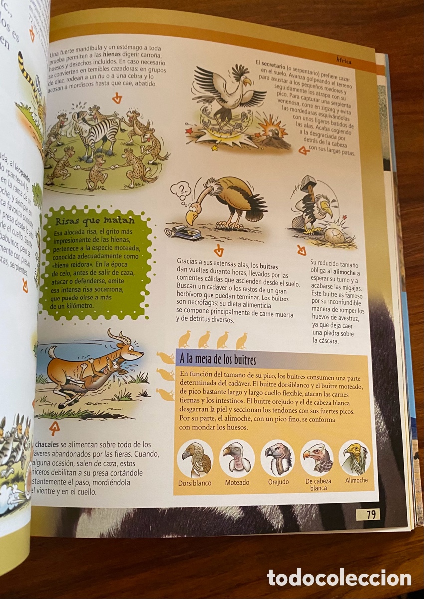 Enciclopedias de segunda mano: Enciclopedia Fleurus Junior Animales - Foto 4