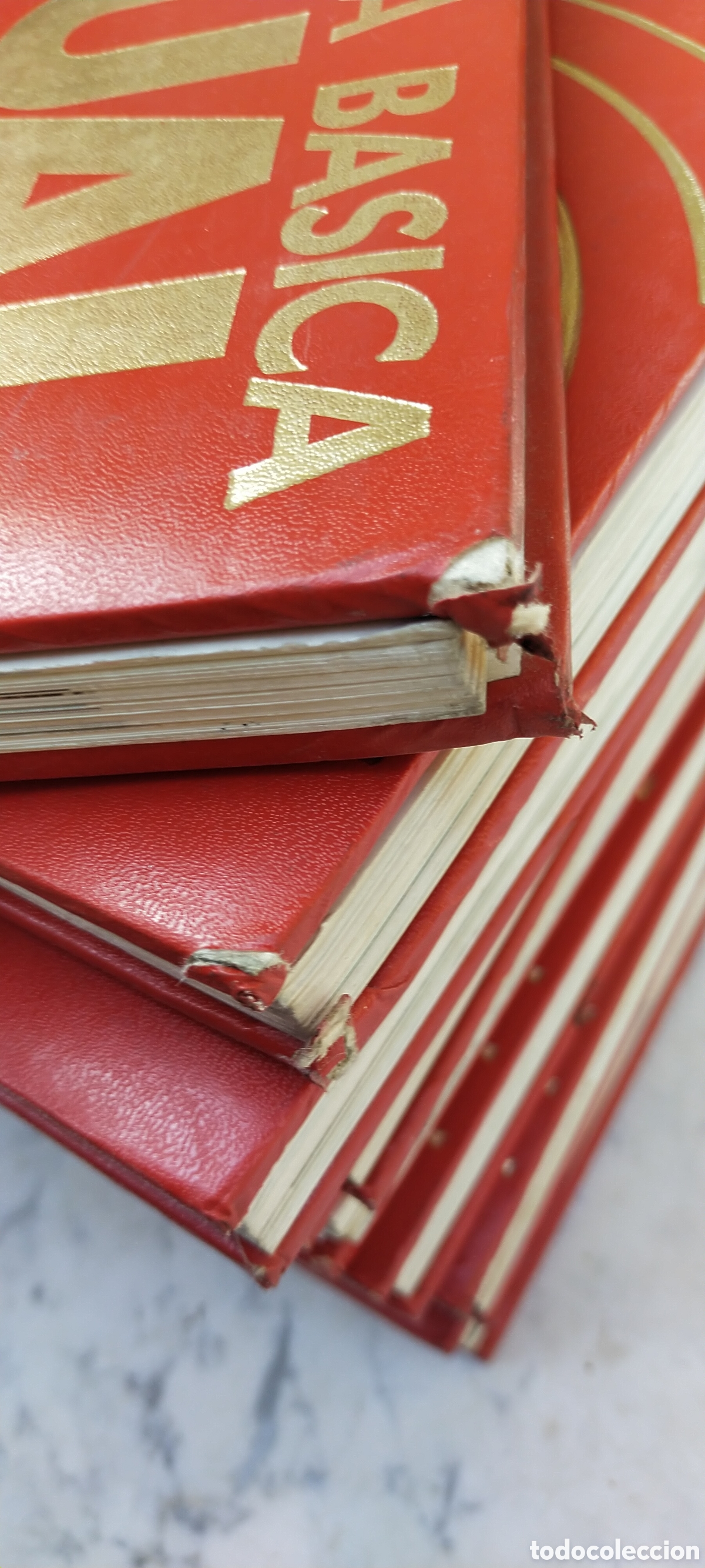 Enciclopedias de segunda mano: Enciclopedia b&aacute;sica visual oc&eacute;ano - Foto 8