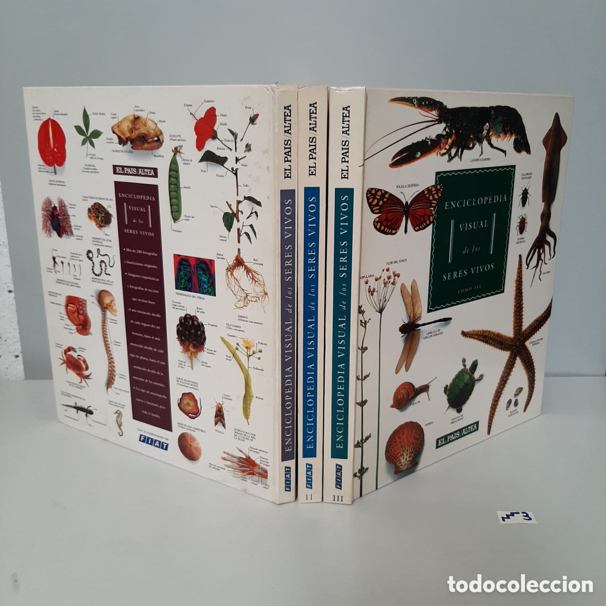 Enciclopedias de segunda mano: ENCICLOPEDIA VISUAL de los SERES VIVOS - Foto 1