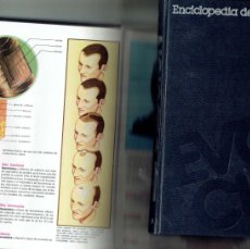 Enciclopedias de segunda mano: EVOLUCIÓN. ENCICLOPEDIA DE LA NUEVA TECNOLOGÍA. 8 TOMOS. ¡¡COMPLETA!!. SARPE, 1981(ST/C91)