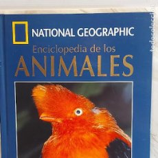 Enciclopedias de segunda mano: ENCICLOPEDIA DE LOS ANIMALES / 14 / AVES IV / NATIONAL GEOGRAPHIC / LIBRO + DVD / NUEVO.