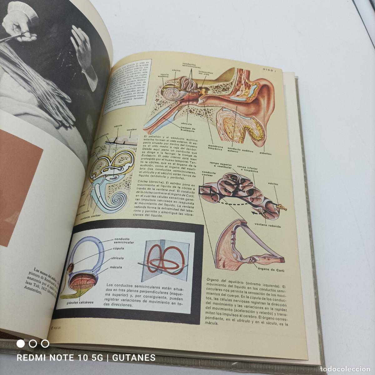 Enciclopedias de segunda mano: ENCICLOPEDIA FOCUS - Foto 4