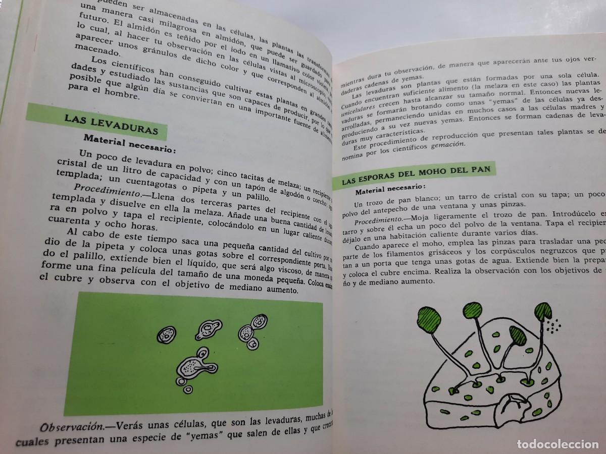 Enciclopedias de segunda mano: ENCICLOPEDIA AFICIONES - LOTE 3 LIBROS - Foto 7