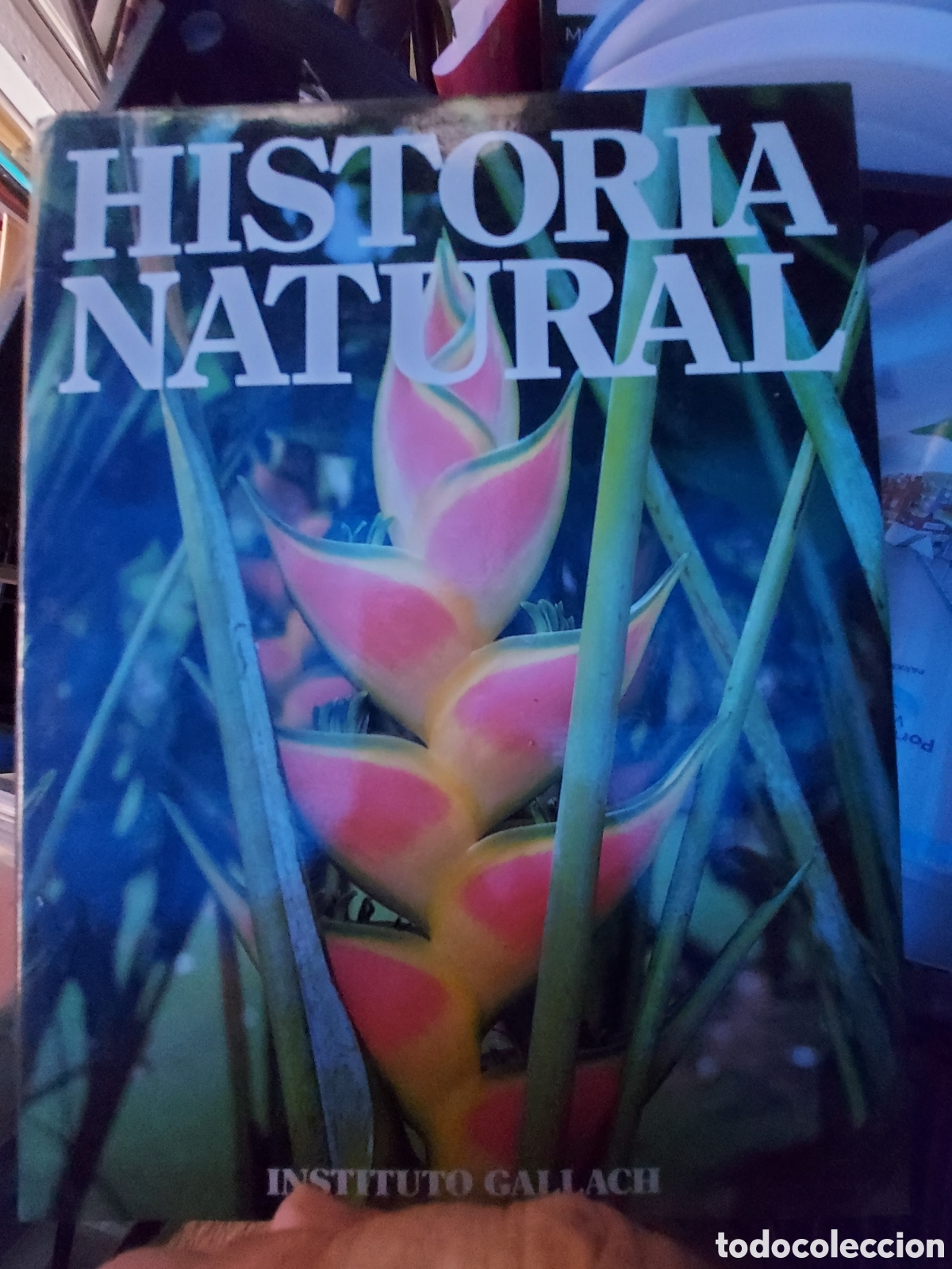 Enciclopedias de segunda mano: HISTORIA NATURAL - Foto 1