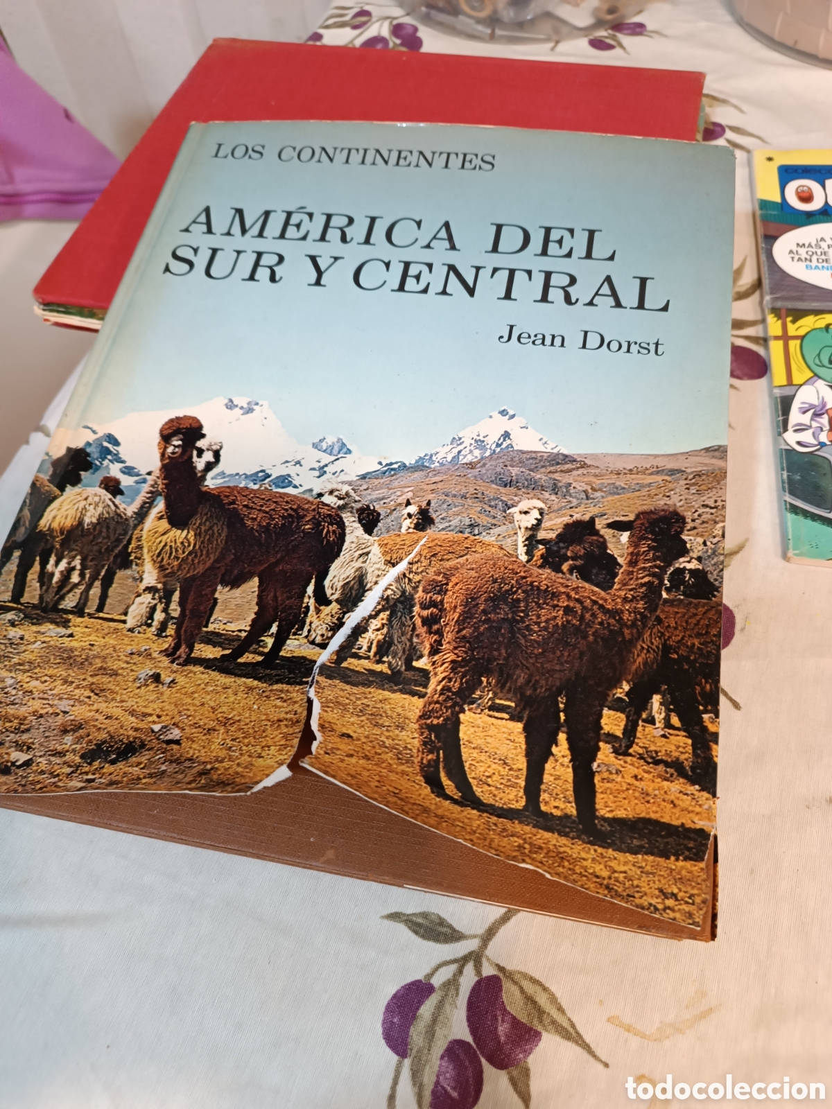 Enciclopedias de segunda mano: Am&eacute;rica del sur y central - Foto 1