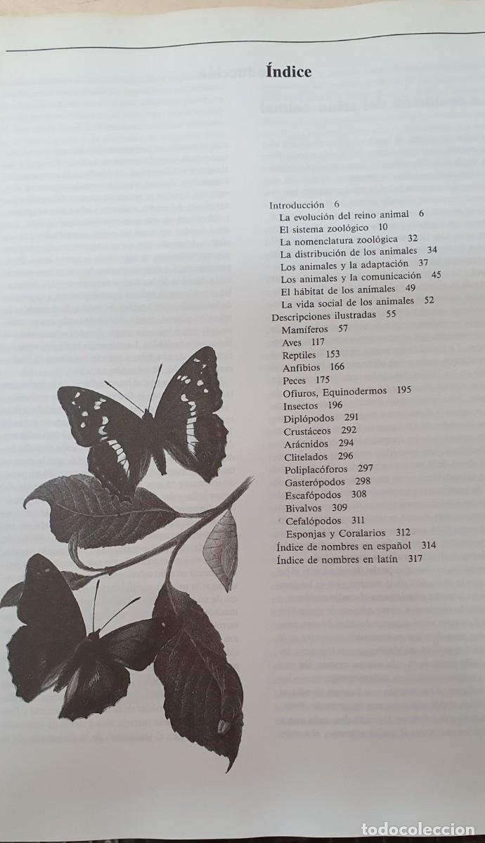Enciclopedias de segunda mano: El gran libro de los animales - Foto 3
