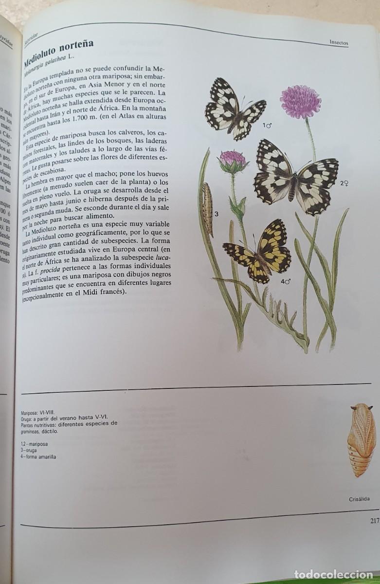 Enciclopedias de segunda mano: El gran libro de los animales - Foto 5