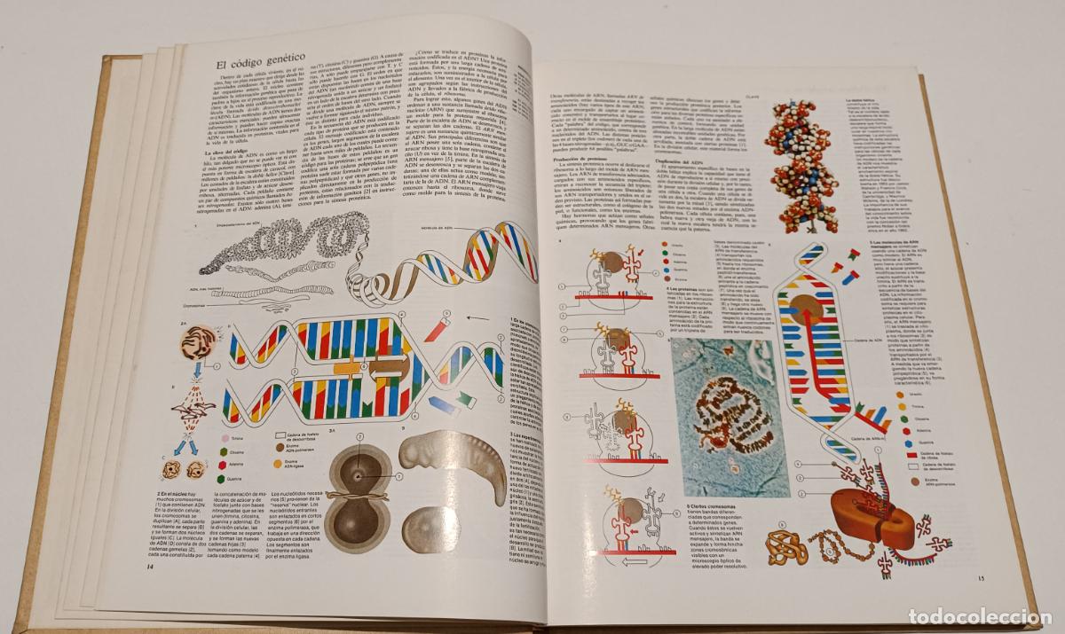 Enciclopedias de segunda mano: ENCICLOPEDIA VISUAL N&ordm;3 - Foto 2