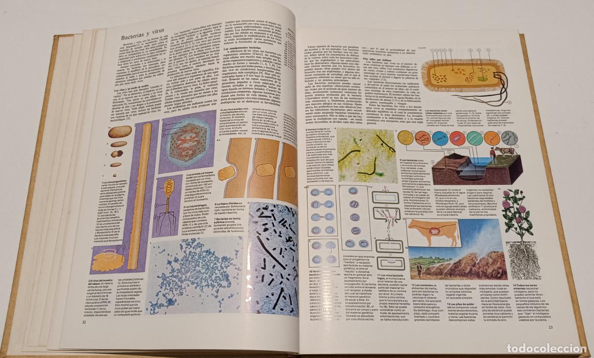 Enciclopedias de segunda mano: ENCICLOPEDIA VISUAL N&ordm;3 - Foto 3