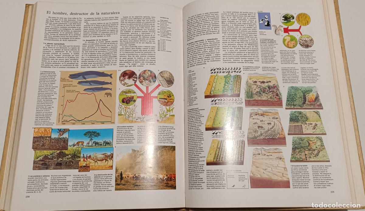 Enciclopedias de segunda mano: ENCICLOPEDIA VISUAL N&ordm;3 - Foto 9