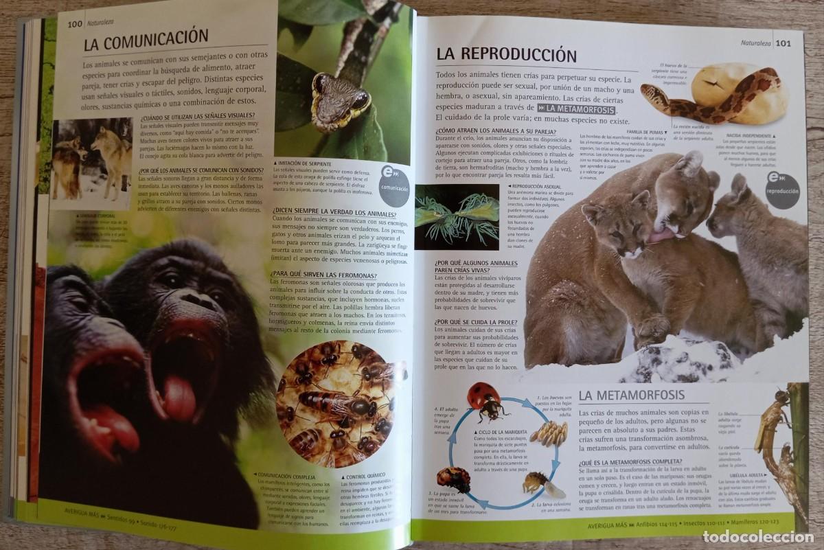 Enciclopedias de segunda mano: ENCICLOPEDIA GOOGLE - CIRCULO DE LECTORES - Foto 3
