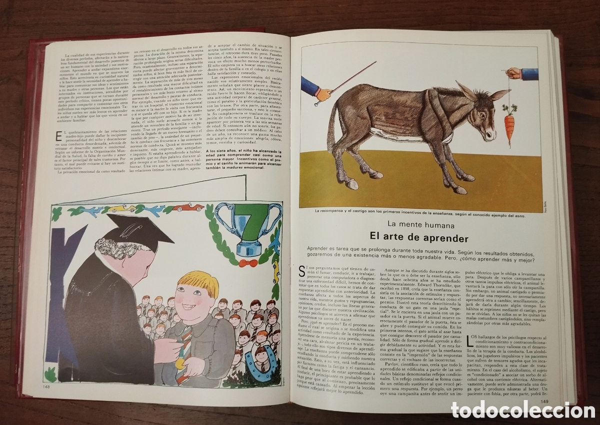 Enciclopedias de segunda mano: Enciclopedia de la vida - Foto 6