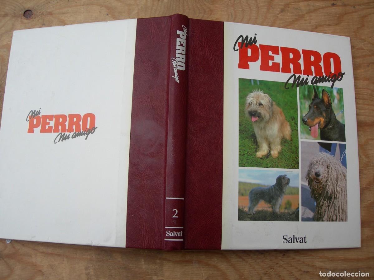 Enciclopedias de segunda mano: MI PERRO MI AMIGO / IO TOMOS - Foto 4
