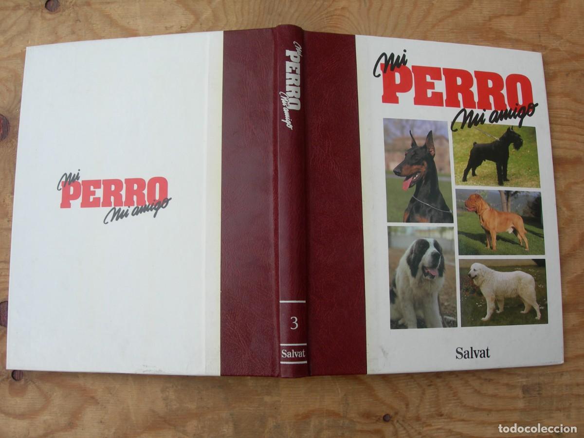 Enciclopedias de segunda mano: MI PERRO MI AMIGO / IO TOMOS - Foto 6