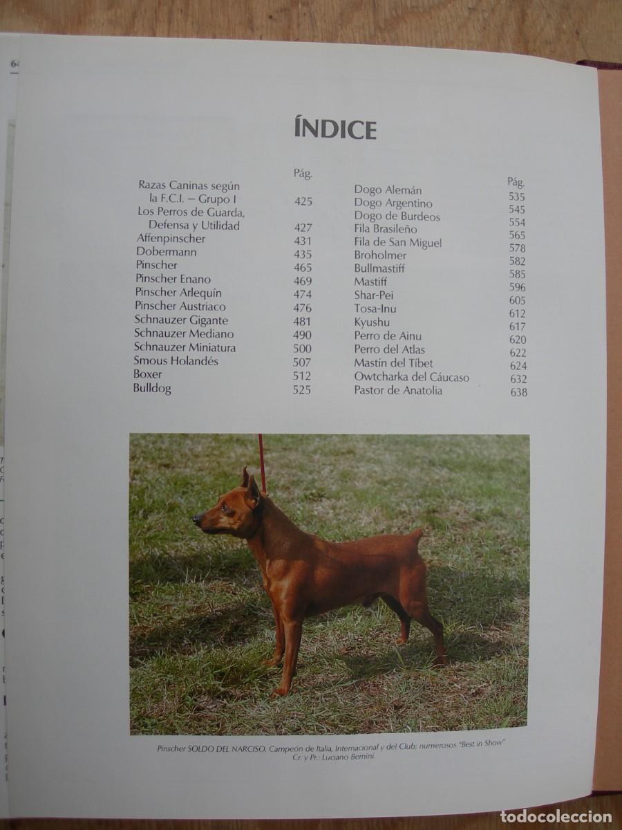 Enciclopedias de segunda mano: MI PERRO MI AMIGO / IO TOMOS - Foto 7