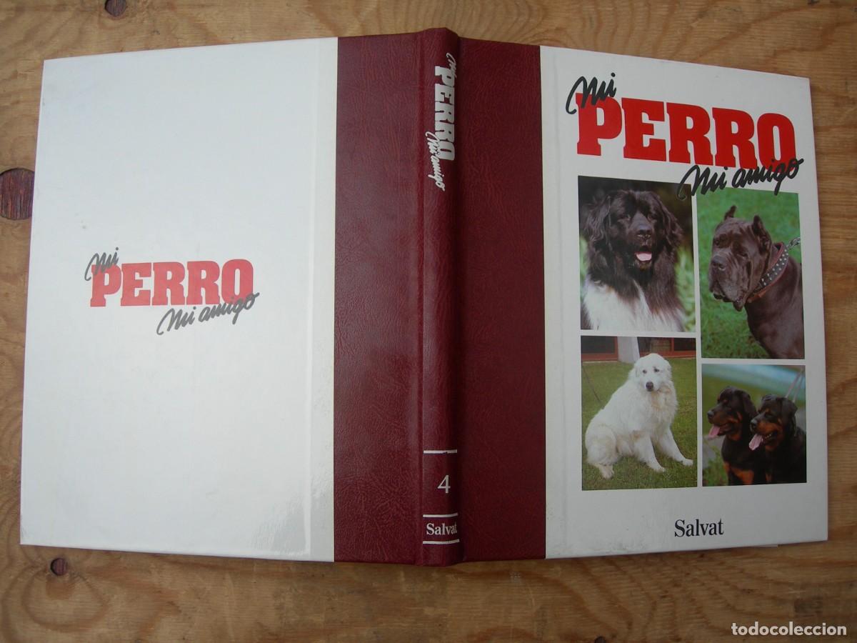 Enciclopedias de segunda mano: MI PERRO MI AMIGO / IO TOMOS - Foto 8