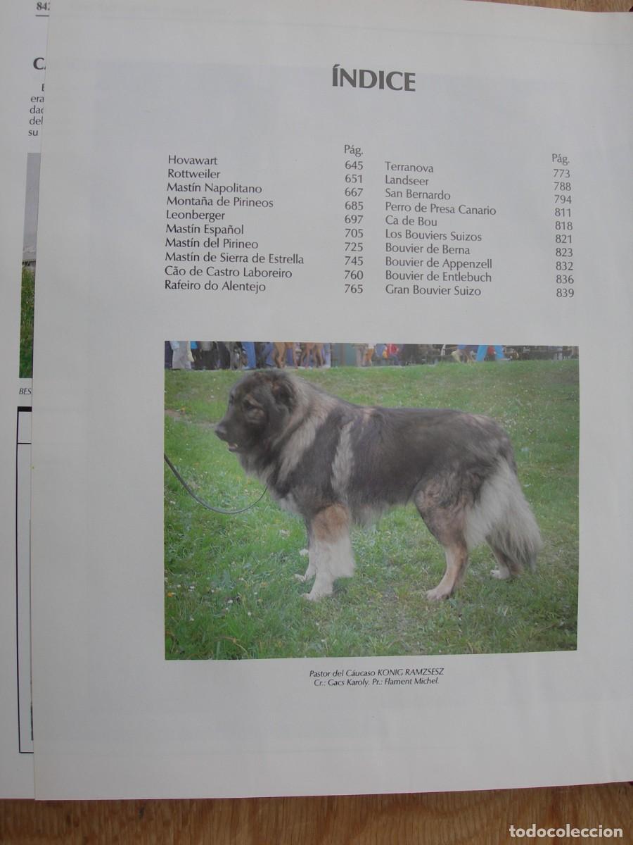 Enciclopedias de segunda mano: MI PERRO MI AMIGO / IO TOMOS - Foto 9