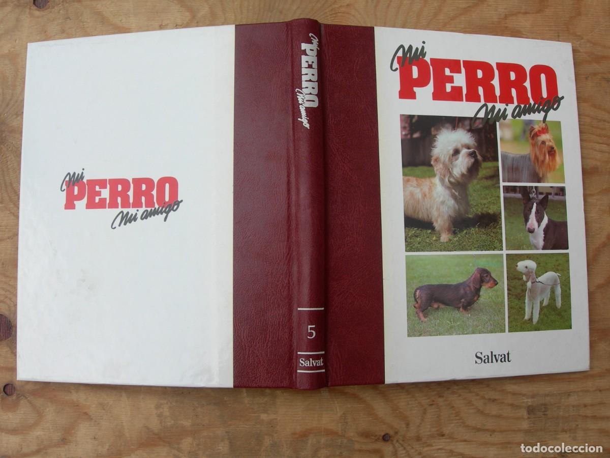 Enciclopedias de segunda mano: MI PERRO MI AMIGO / IO TOMOS - Foto 10