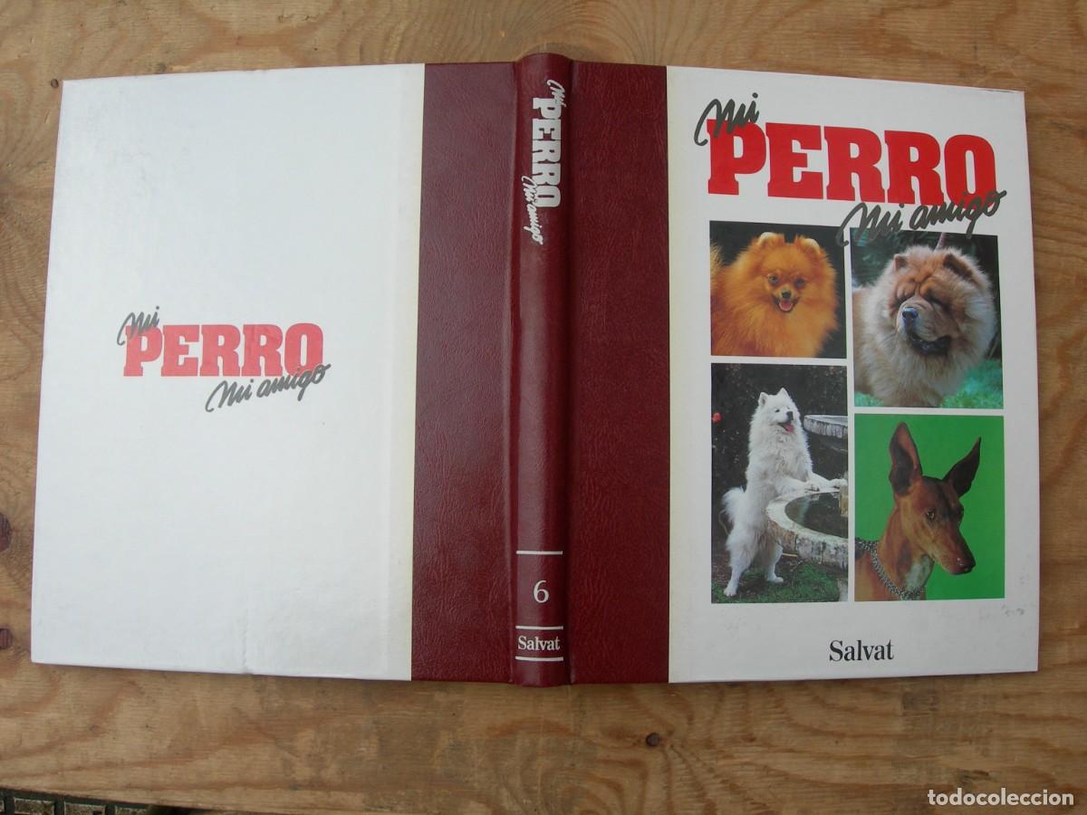 Enciclopedias de segunda mano: MI PERRO MI AMIGO / IO TOMOS - Foto 12