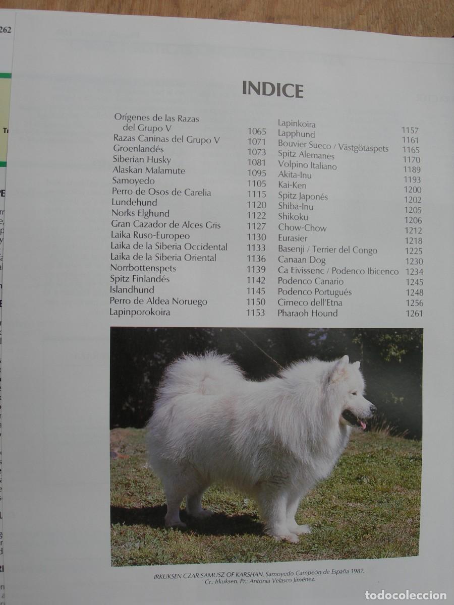 Enciclopedias de segunda mano: MI PERRO MI AMIGO / IO TOMOS - Foto 13