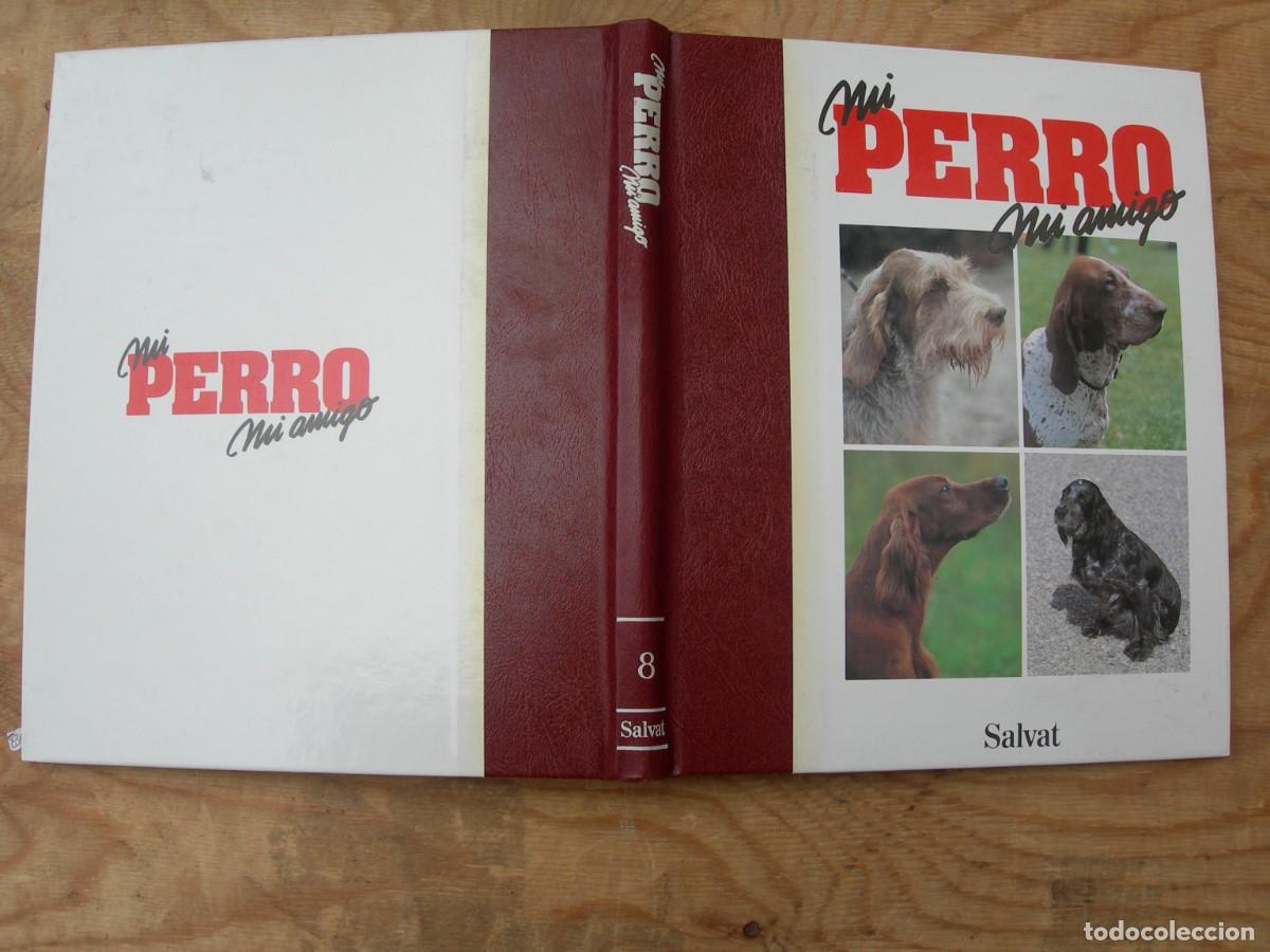 Enciclopedias de segunda mano: MI PERRO MI AMIGO / IO TOMOS - Foto 16