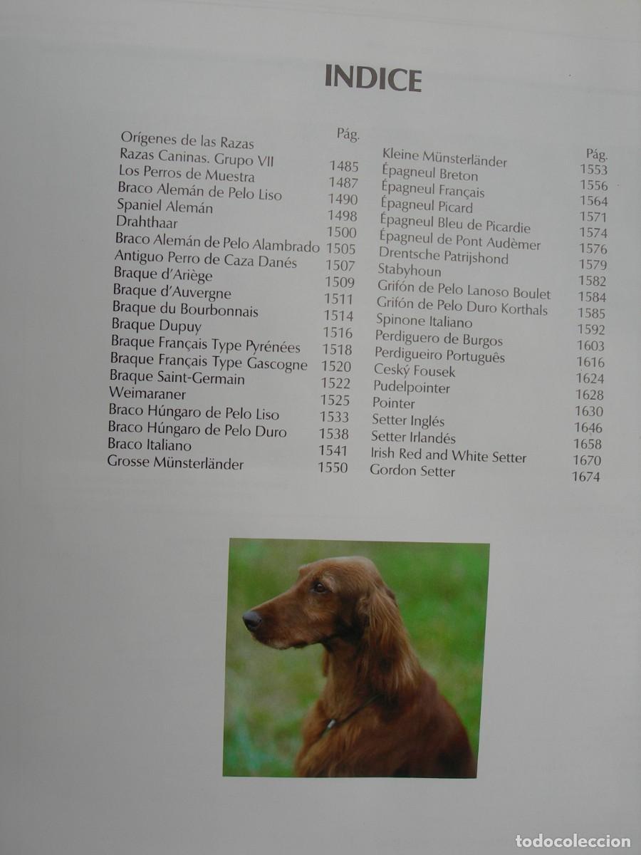 Enciclopedias de segunda mano: MI PERRO MI AMIGO / IO TOMOS - Foto 17