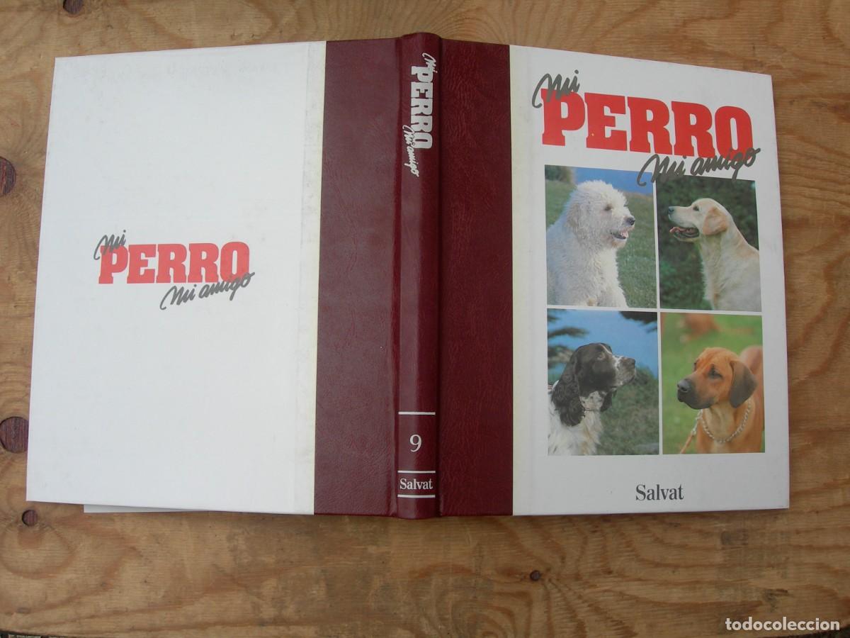 Enciclopedias de segunda mano: MI PERRO MI AMIGO / IO TOMOS - Foto 18