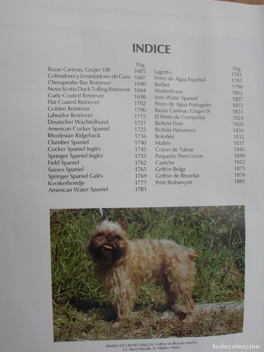Enciclopedias de segunda mano: MI PERRO MI AMIGO / IO TOMOS - Foto 19