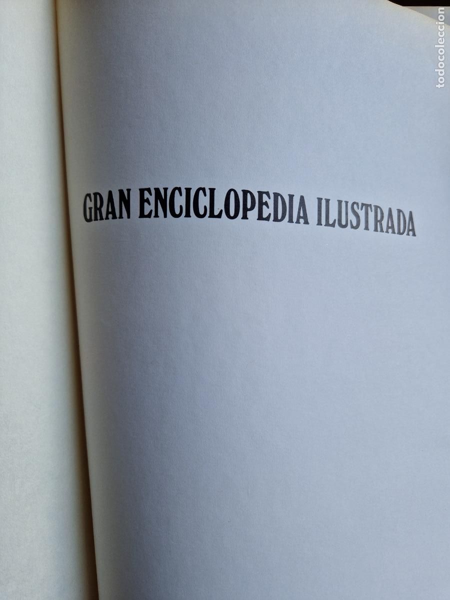 Enciclopedias de segunda mano: GRAN ENCICLOPEDIA ILUSTRADA. EDICIONES DONADE. 20 TOMOS. - Foto 3