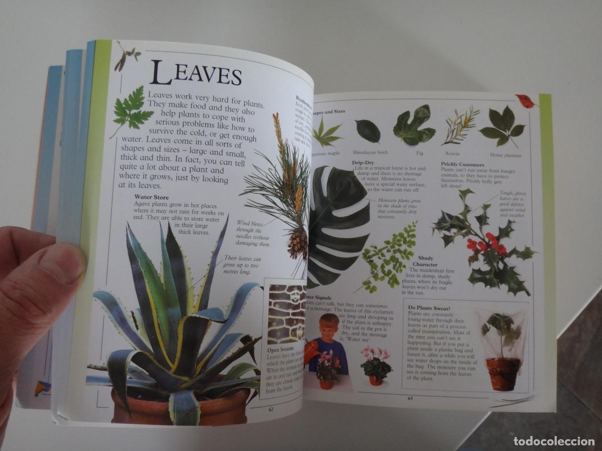 Enciclopedias de segunda mano: BIG BOOK OF KNOWLEDGE DK INGLES - Foto 5