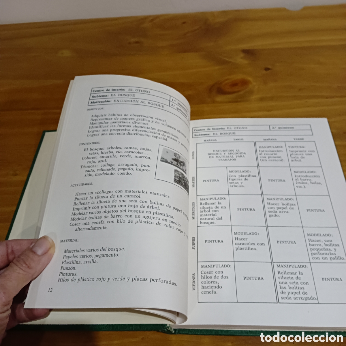 Enciclopedias de segunda mano: Centros de inter&eacute;s pl&aacute;stica - Foto 5