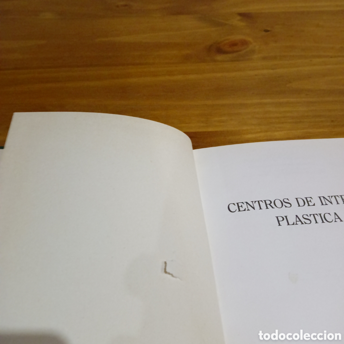 Enciclopedias de segunda mano: Centros de inter&eacute;s pl&aacute;stica - Foto 8